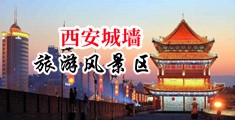 Avove无毛肥逼骚气妹子和炮友激情啪中国陕西-西安城墙旅游风景区